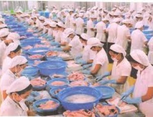 An toàn cho công nhân chế biến ở nhà máy lạnh đông thực phẩm An toàn cho công nhân chế biến ở nhà máy lạnh đông thực phẩm